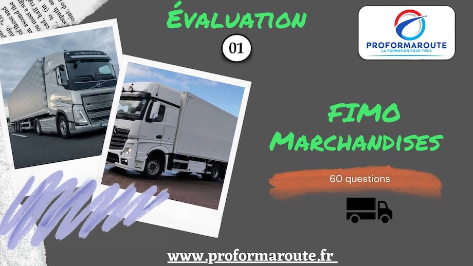 EVALUATION FIMO MARCHANDISES 1 - PTT - Affiche